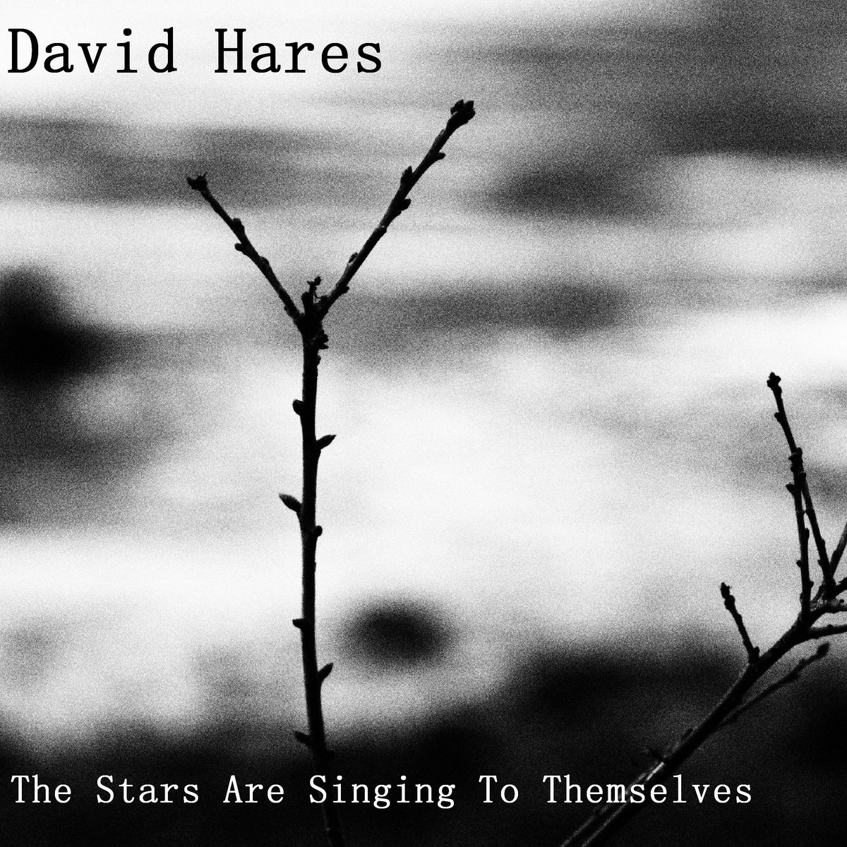 Official artwork for David Hares — The Stars Are Singing To Themselves